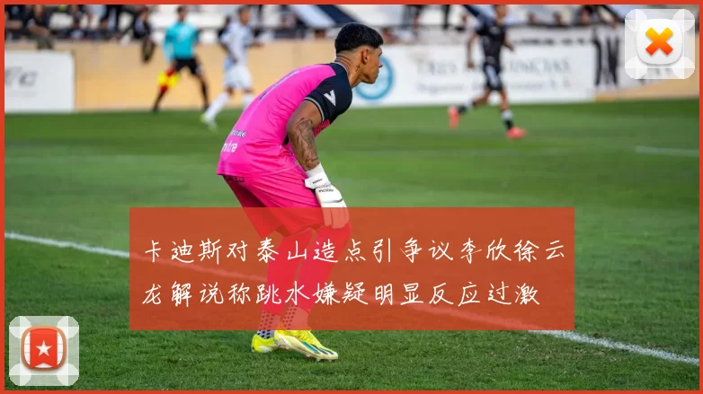 卡迪斯对泰山造点引争议李欣徐云龙解说称跳水嫌疑明显反应过激